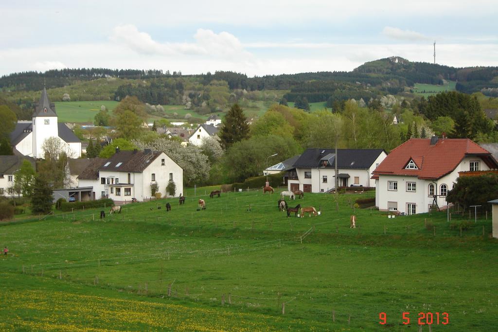 Willa Urlaub Auf Dem Bauernhof Marx Kelberg Pokój zdjęcie